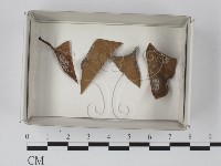 登錄號:F0020603藏品圖，第1張