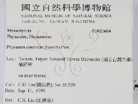 登錄號:F0020604藏品圖，第2張