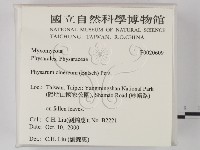 登錄號:F0020609藏品圖，第2張