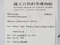 登錄號:F0020610藏品圖，第2張