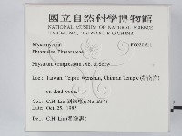 館號:F0020611藏品圖，第2張