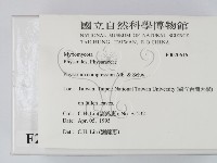 登錄號:F0020616藏品圖，第2張