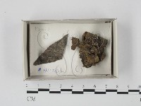 登錄號:F0020616藏品圖，第1張