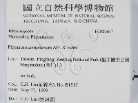 登錄號:F0020617藏品圖，第2張