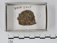 登錄號:F0020618藏品圖，第1張