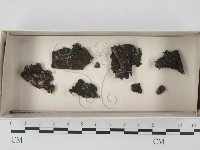 登錄號:F0020619藏品圖，第1張