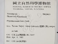 登錄號:F0020621藏品圖，第2張