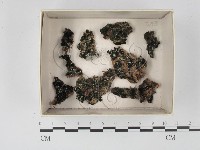 登錄號:F0020622藏品圖，第1張