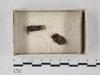 登錄號:F0020623藏品圖，第1張