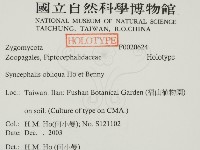 登錄號:F0020624藏品圖，第2張