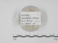 登錄號:F0020624藏品圖，第1張