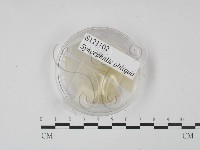 登錄號:F0020624藏品圖，第3張