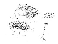 登錄號:F0020624藏品圖，第5張