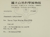 登錄號:F0020626藏品圖，第2張