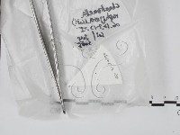 登錄號:F0020626藏品圖，第1張