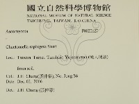 登錄號:F0020627藏品圖，第2張