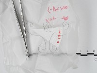 登錄號:F0020627藏品圖，第1張