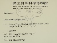 登錄號:F0020628藏品圖，第2張