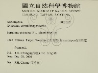 登錄號:F0020629藏品圖，第2張