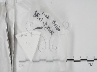 登錄號:F0020630藏品圖，第1張