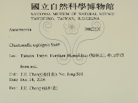 登錄號:F0020631藏品圖，第2張