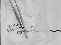 登錄號:F0020631藏品圖，第1張