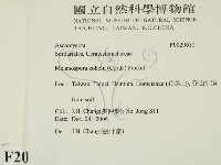 登錄號:F0020632藏品圖，第2張