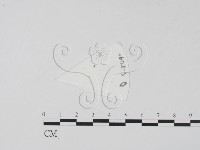 登錄號:F0020632藏品圖，第1張