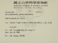 登錄號:F0020633藏品圖，第2張