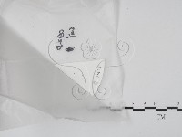 登錄號:F0020633藏品圖，第1張