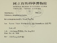 登錄號:F0020634藏品圖，第2張