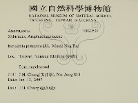 登錄號:F0020635藏品圖，第2張