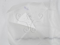 登錄號:F0020635藏品圖，第1張