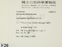 登錄號:F0020636藏品圖，第2張