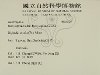 登錄號:F0020637藏品圖，第2張