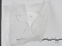 登錄號:F0020637藏品圖，第1張
