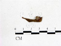 登錄號:F0020640藏品圖，第1張