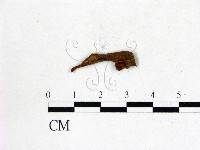登錄號:F0020640藏品圖，第3張