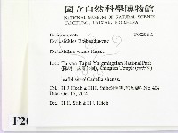 登錄號:F0020641藏品圖，第2張