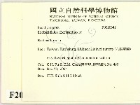 登錄號:F0020642藏品圖，第2張