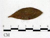 登錄號:F0020642藏品圖，第3張