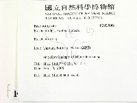 館號:F0020643藏品圖，第2張