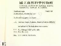 登錄號:F0020645藏品圖，第2張