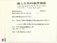 登錄號:F0020646藏品圖，第2張