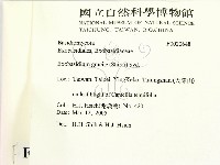 登錄號:F0020648藏品圖，第2張