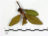 登錄號:F0020649藏品圖，第3張