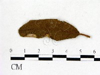 登錄號:F0020653藏品圖，第3張