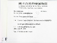 登錄號:F0020655藏品圖，第2張