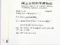 登錄號:F0020657藏品圖，第2張