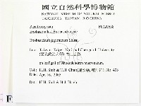 登錄號:F0020658藏品圖，第2張